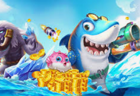 南宫app2024最新版